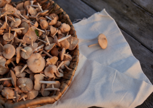 Allow proper airflow