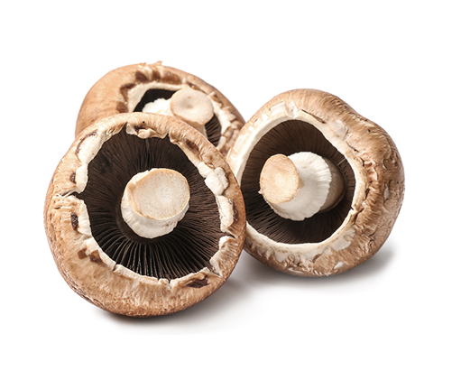 Portobellini mushrooms