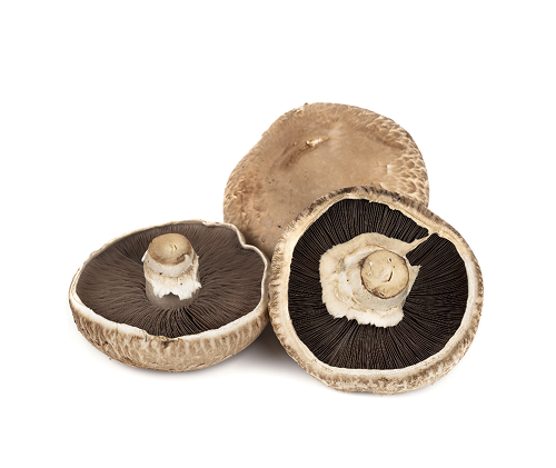 Portobello mushrooms