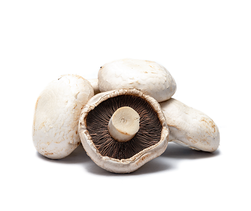 White portobello mushrooms